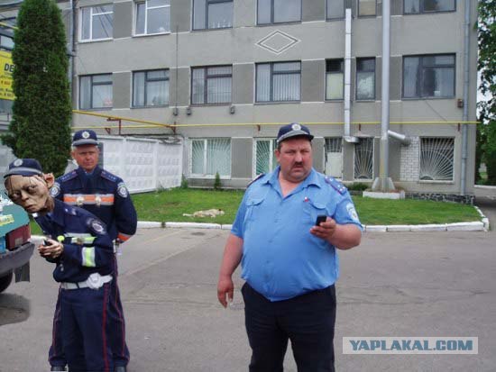 Фотожаба:На связи