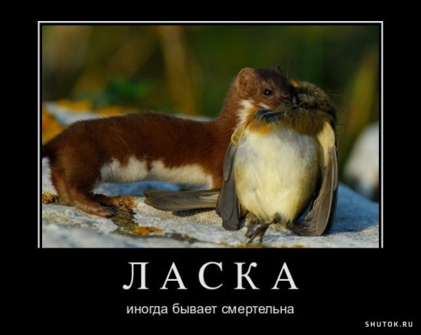 Смертельная битва