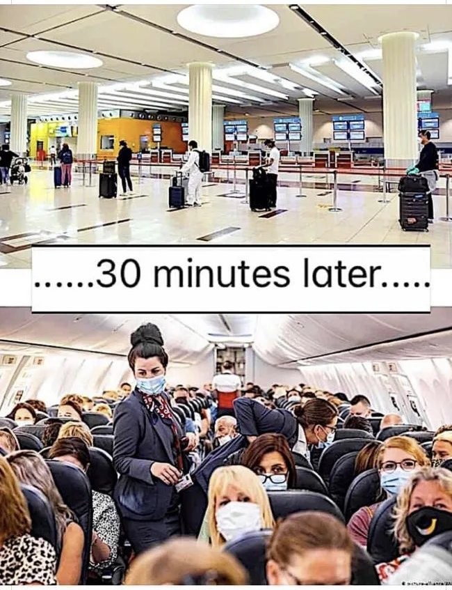15376542.jpg
