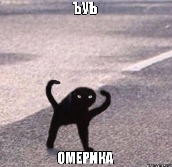 Завершились летно-конструкторские испытания ракеты «Циркон»: утерли нос США