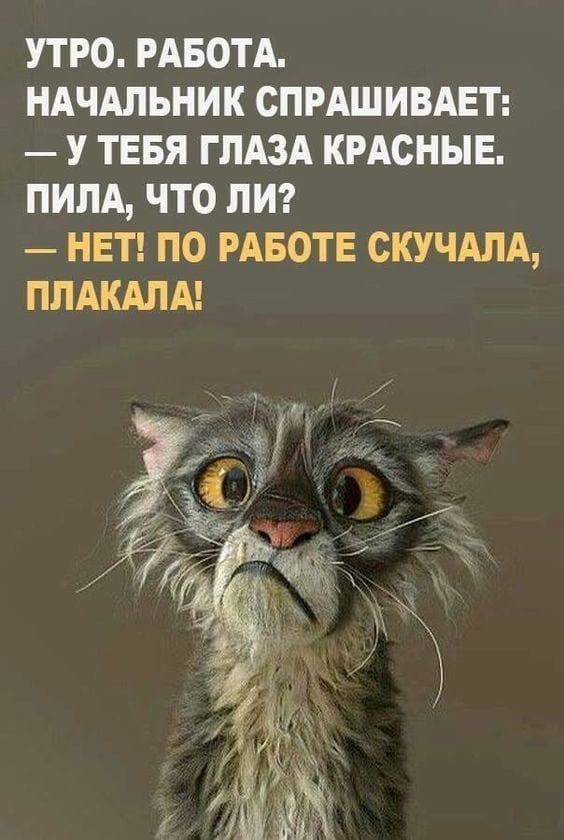 Картинки про работу
