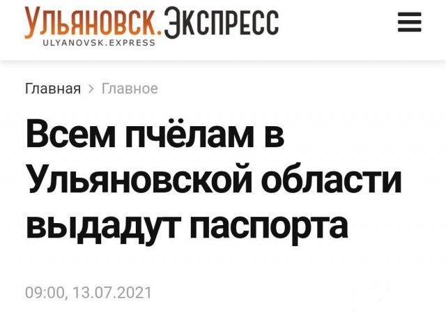 Забавные шутки, картинки и фразы из этих ваших интернетов 10.08.2021