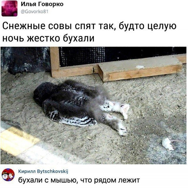 Так себе картинки 13.08.21