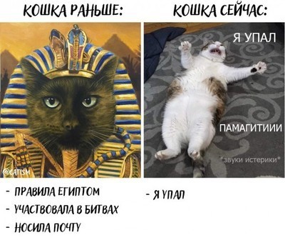 Пандемия. Коронавирус. Россия и мир. Последняя информация. Часть 24