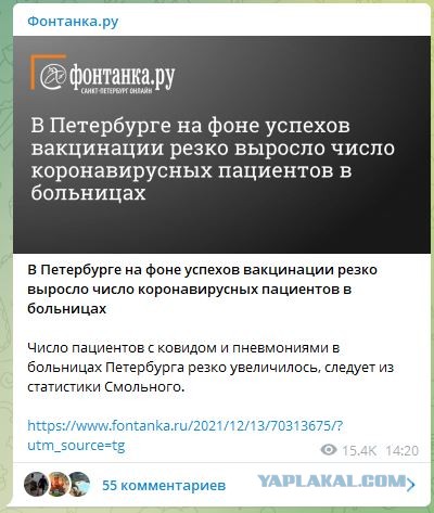 В вакцинированных Нидерландах угрожающе выросла смертность