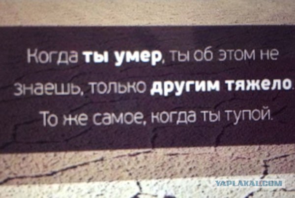 Чуток картинок 30.12.21
