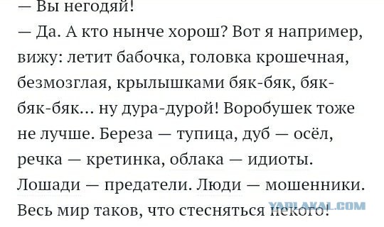 Комментарии в интернете — это отдельный вид искусства.