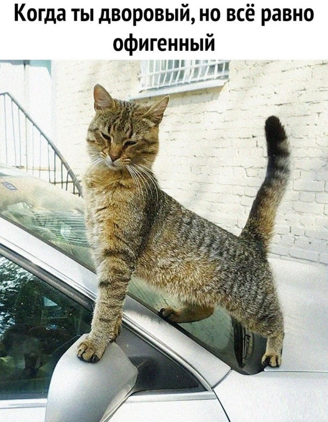 Котовторниковское