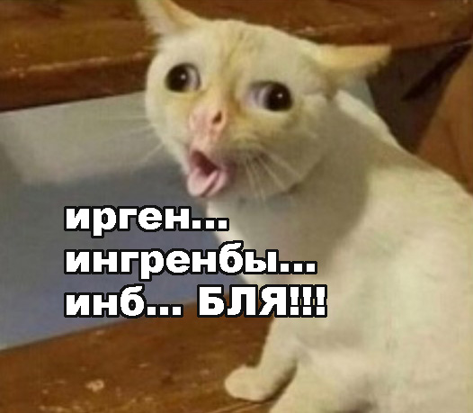 Ингеборга Дапкунайте уехала из России