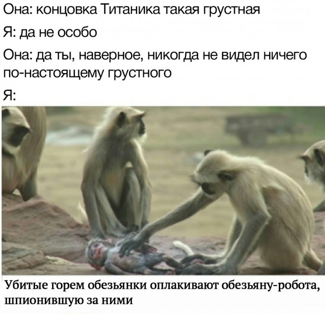 Картинки, приколы, мемы на выходные