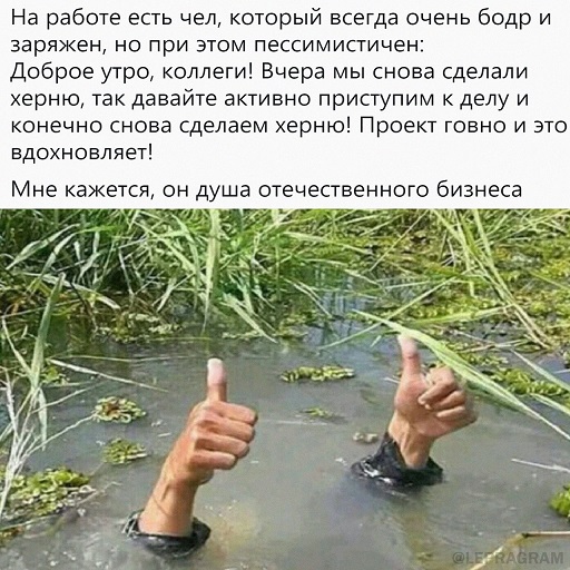 Пандемия съехавших крыш. Разновидности болезни. Россия и мир. Часть 36