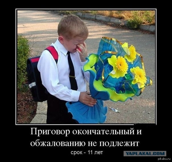 Как я пошла в школу, и связанный с этим звиздец