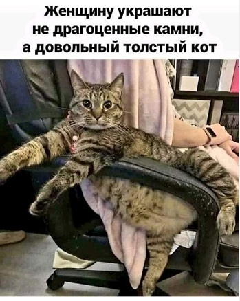Скриншоты и комментарии из социальных сетей 06.09.22
