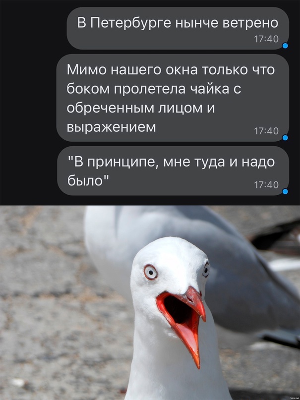 Картинки и мемы для настроения - 107
