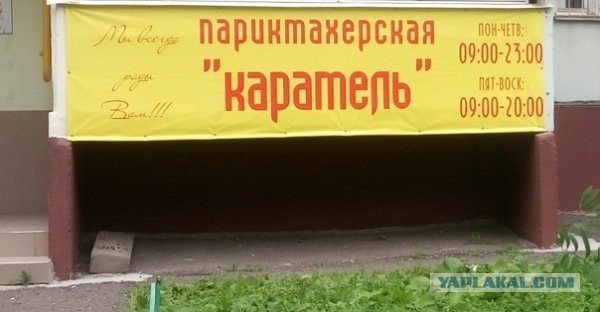 Подборка смешных картинок на ночь 31.10.22