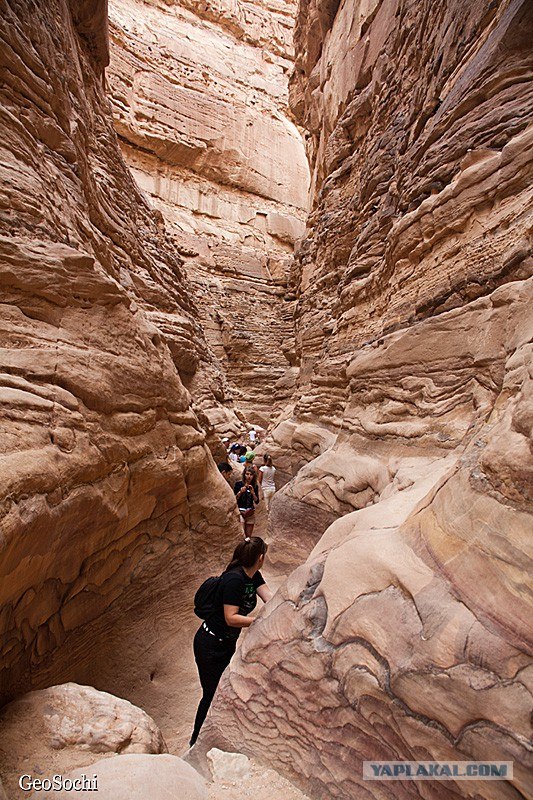 Синайские приключения. Шарм-эш-Шейх и окресности