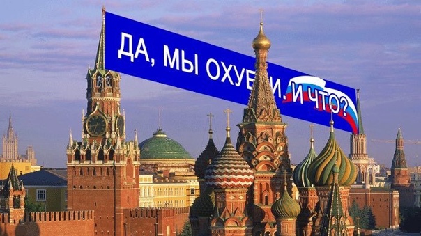 Госдума приняла закон о публикации деклараций депутатов и сенаторов без персональных данных