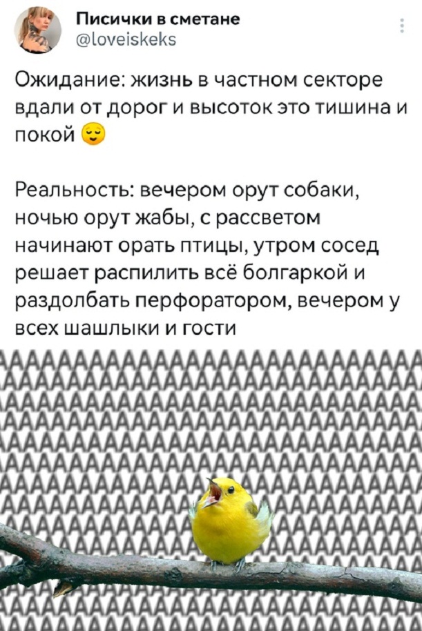 Картинки и мемы для настроения - 187
