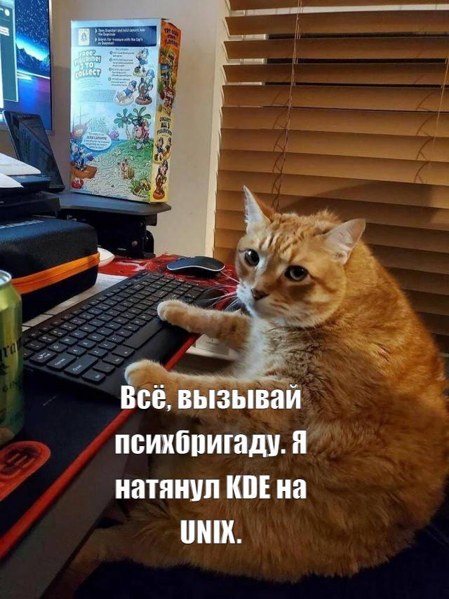 Прикольные и просто красивые картинки 06.06.2023