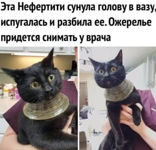 Весёлый полтишок 16.07.23