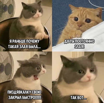 Всего понемногу. От 15.11.23