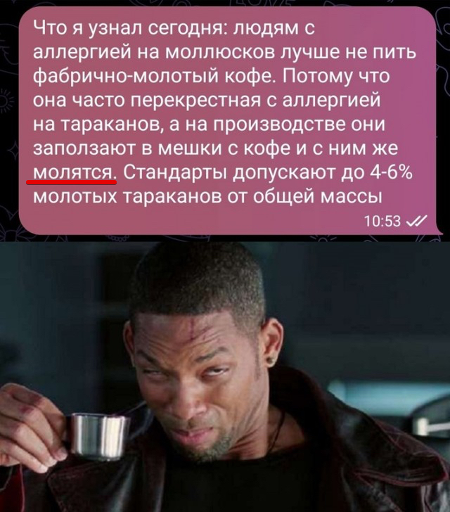 Весёлый полтишок 18.01.24