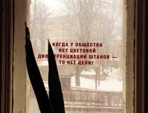 Предложения по контролю за мигрантами от курьера "Яндекс.Еда"