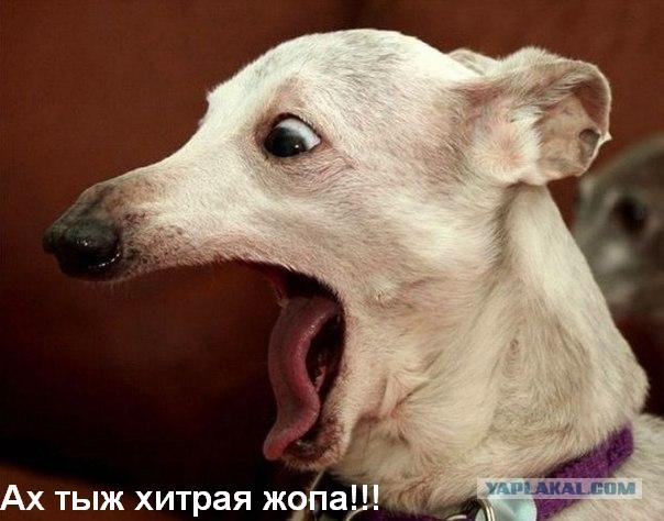 180 км/ч! Или как сохранить права.