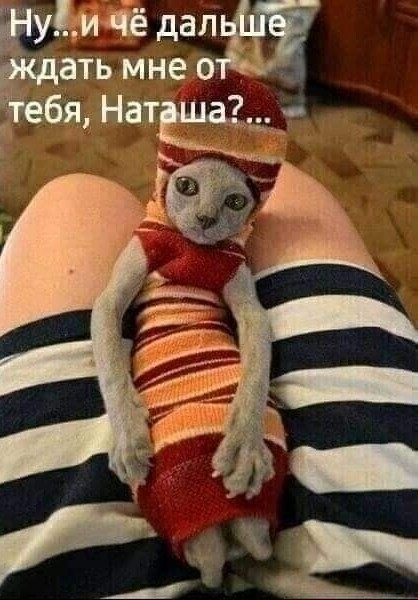 К котовторнику: подборка картинок-баянов с котиками и про котиков. Выпуск 2.
