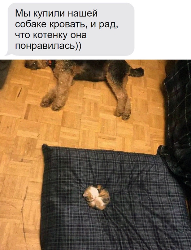 Картинки для деградации 8 ( разной степени свежести)