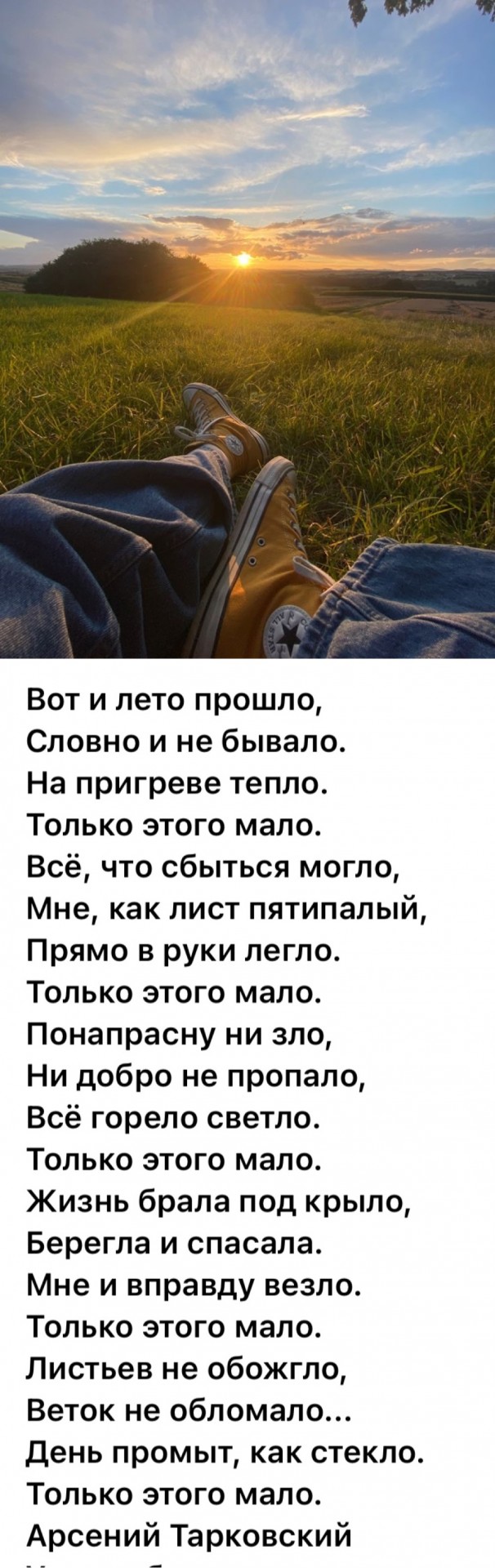 Прикольные и просто красивые картинки 29.08.2025