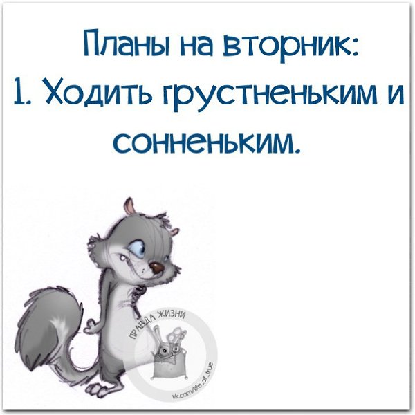 Вторник. Немного картинок