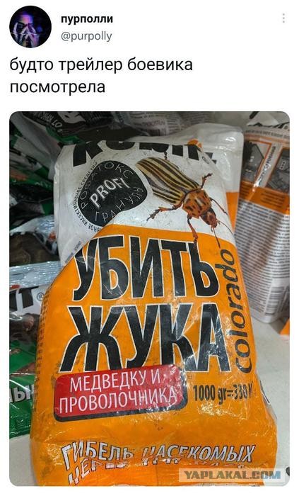 Картинки для деградации 99 (разной степени свежести)