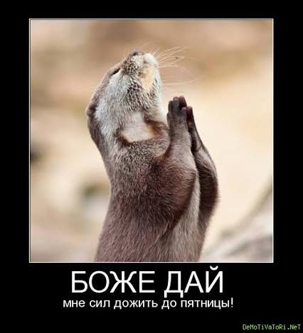 Соловьев о деле Долиной