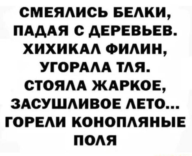 Крупный магазин марихуаны сгорел в американском штате Колорадо — дымом накрыло половину города