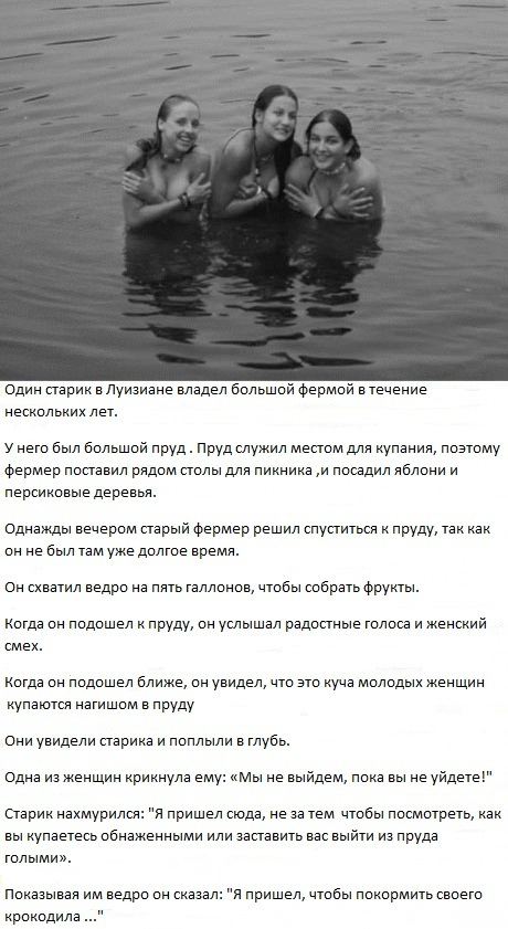 Картиночки, баянчики 29 декабря