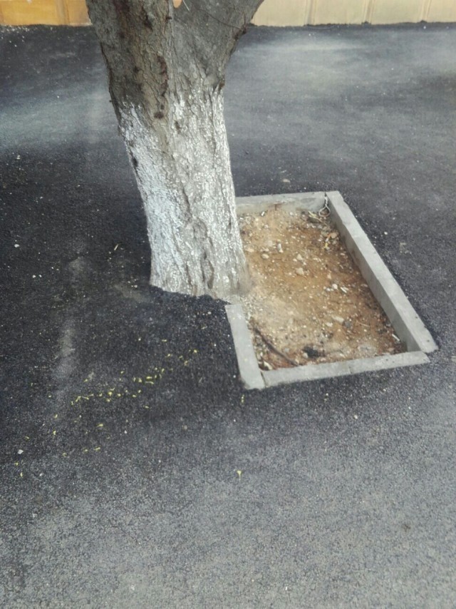 Я у мамы инженер #13