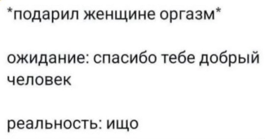 Мой кот
