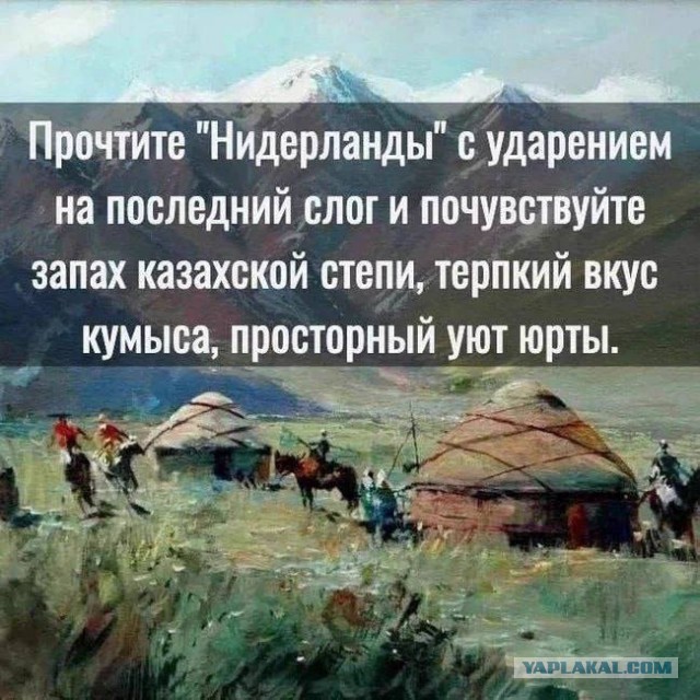 Картинки для деградации 137 (разной степени свежести)