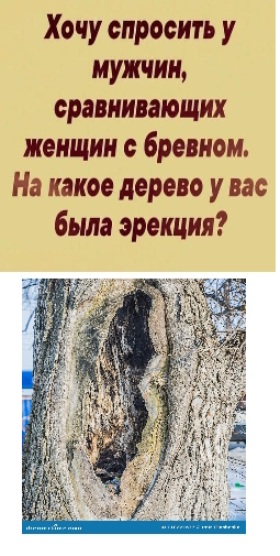 Воскресные картинки