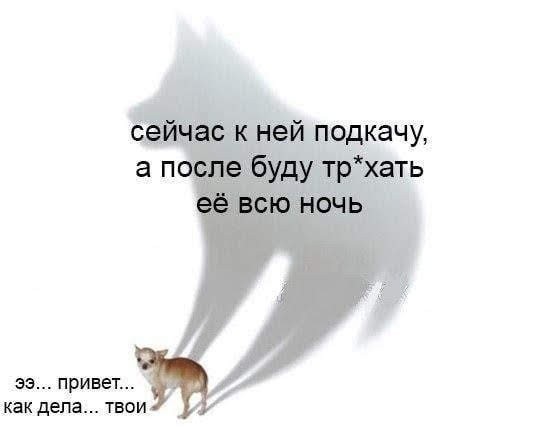 Картинки для деградации 147 (разной степени свежести)