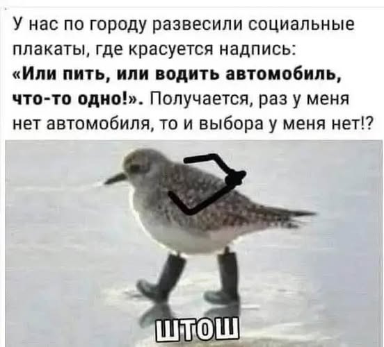 Картиночки, баянчики 02 марта