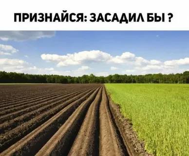 Белый дом официально представил