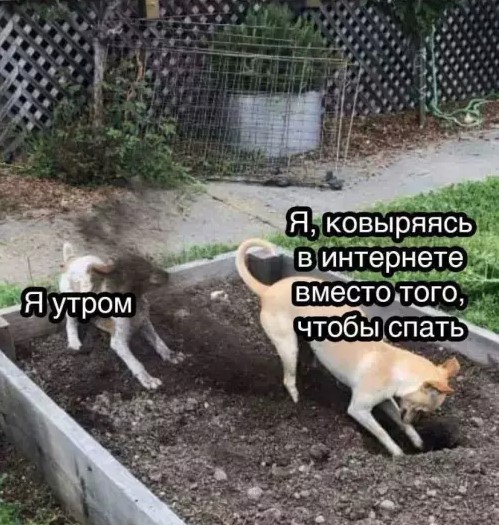 Картиночки, баянчики 08 апреля