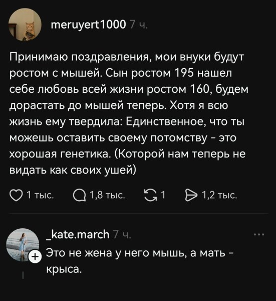 Среды картинки