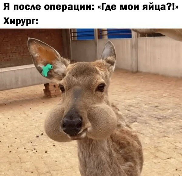 Картинки из мусорной корзины 02.05.26