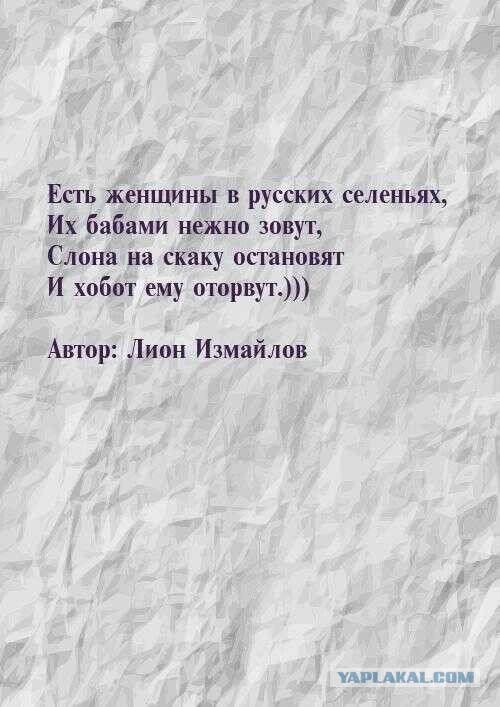 Просто оставлю это здесь,для очень уверенных в себе гусар.