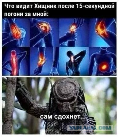 Совсем себя не бережет