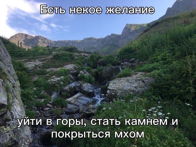 Картинки всякие разные невпопад 1.6
