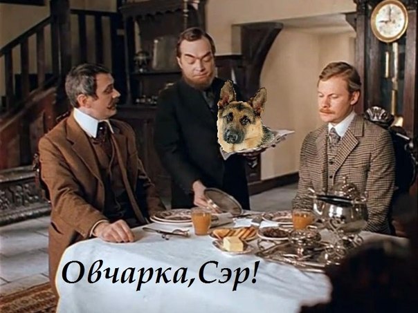 Женщины против существ мужского пола
